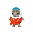 ஸ்டிக்கர்