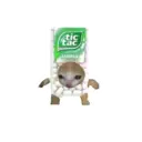 ஸ்டிக்கர்