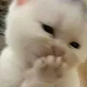 স্টিকার