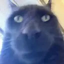 স্টিকার