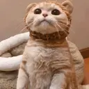 স্টিকার