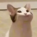 স্টিকার