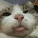 স্টিকার