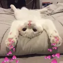 স্টিকার