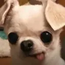 স্টিকার