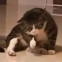 স্টিকার