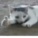 ஸ்டிக்கர்