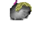 สติกเกอร์