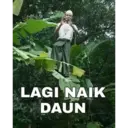 স্টিকার