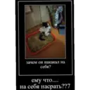 ស្ទីកเกอร์