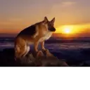 స్టికర్