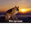 స్టికర్