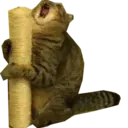 స్టికర్