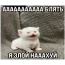 স্টিকার