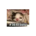 স্টিকার