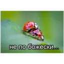 স্টিকার