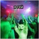 স্টিকার