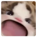 สติกเกอร์