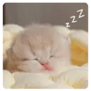 สติกเกอร์