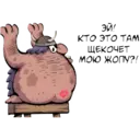 สติกเกอร์