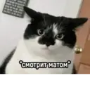 স্টিকার