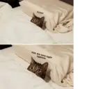 স্টিকার