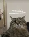 স্টিকার