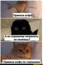 স্টিকার