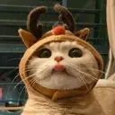 Կպչուն պիտակ