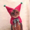 Կպչուն պիտակ