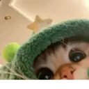 Կպչուն պիտակ