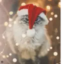 Կպչուն պիտակ