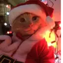 Կպչուն պիտակ