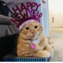 Կպչուն պիտակ