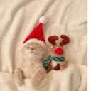 Կպչուն պիտակ