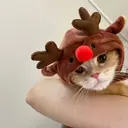 Կպչուն պիտակ