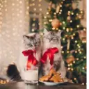 Կպչուն պիտակ