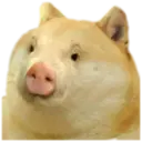 স্টিকার