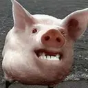 স্টিকার