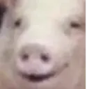 স্টিকার