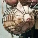 স্টিকার