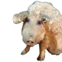 স্টিকার