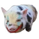 স্টিকার