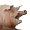 স্টিকার