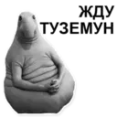 Стикер