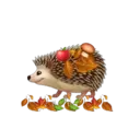 స్టికర్