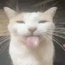 স্টিকার