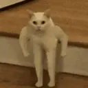 স্টিকার