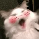 স্টিকার