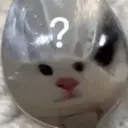 স্টিকার